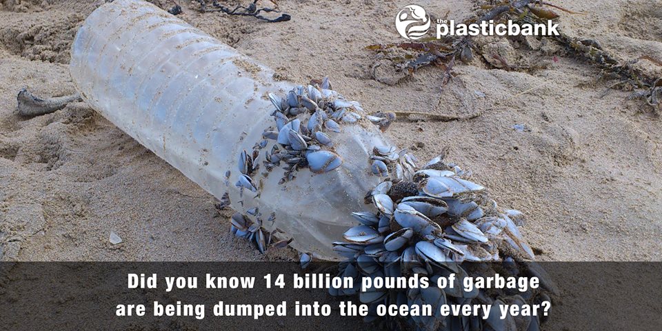 PlasticBank's tweet photo. Did you know 14 billion pounds of garbage are being dumped into the ocean every year? - http://t.co/FZTbaQabXI http://t.co/0QoYvOqvjj