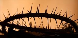 HighPlainsWaterfowl tweet media