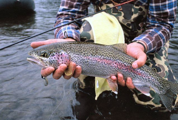 outdoorlife's tweet photo. Is your tackle box missing any of these must-have lures? http://t.co/uxoOnWkAuD http://t.co/3luRHRIvp7