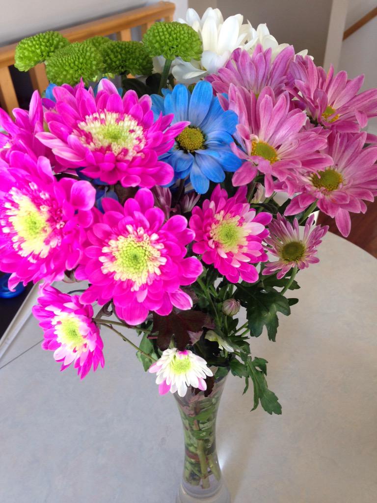 _kelseyrenee's tweet photo. 💐🙊 http://t.co/C3alYuVPx8