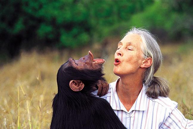 Happy Birthday Jane Goodall!! 