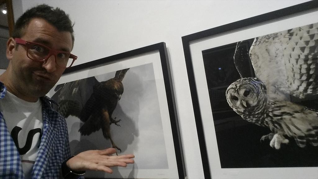 JoeSIXAPPEAL's tweet photo. This gallery is for the birds! #tmo #la #Venice http://t.co/6D6IjWm24U