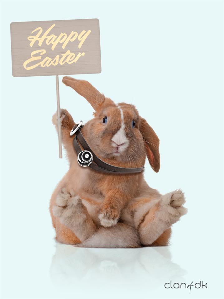 clanofdk's tweet photo. Warm wishes to all of you. We hope that you'll have a fantastic easter!
#clanofdk #Sterling #Denmark #scandinavia http://t.co/fQ8SbEC2Bf