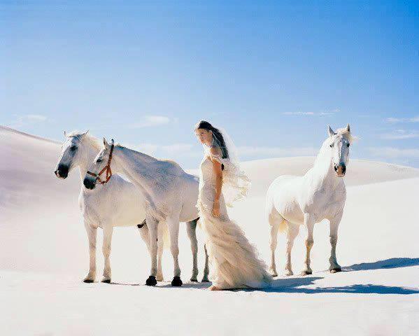 Лошадки ремикс. Лошадь на песке. Белогривый конь. Белогривые лошадки картинки. Фото три белых лошади.