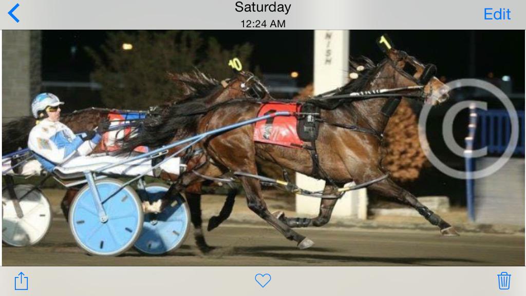 MystiqueBeachBum is up in class bud is as good as she's ever been #tripout #giddyup <a href="/betcdn/">Bet Canadian</a>