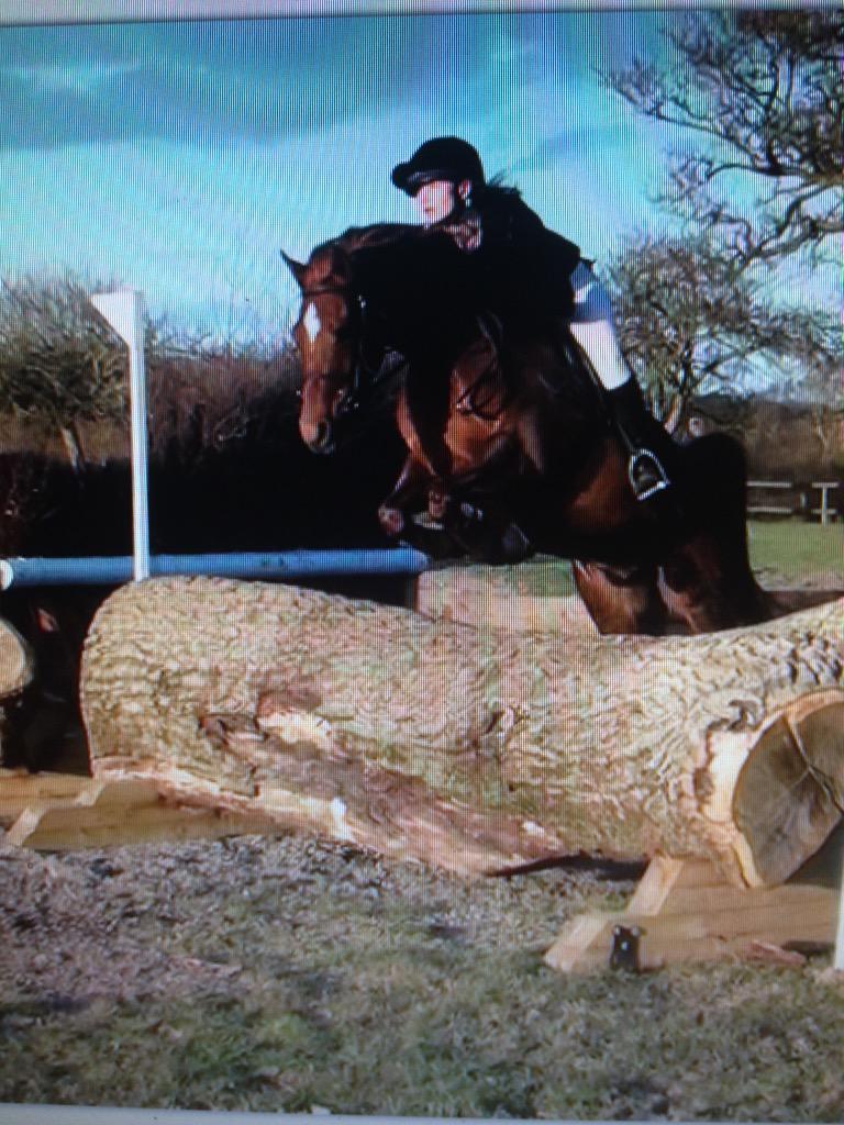 WayMillEventing's tweet image. Talented 14.1hh gelding for sale, please RT &amp;amp; pm for details