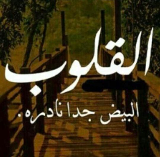 dod_55 tweet picture