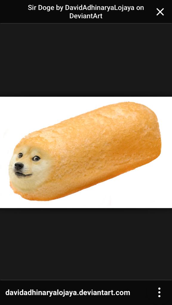 semiller6's tweet image. Blessed that my dog is actually doge #wow #suchaww #manywow