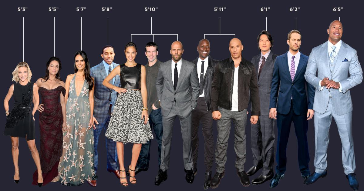 Vulture on X: The true height of the @FastFurious actors, in one helpful  graphic:   / X