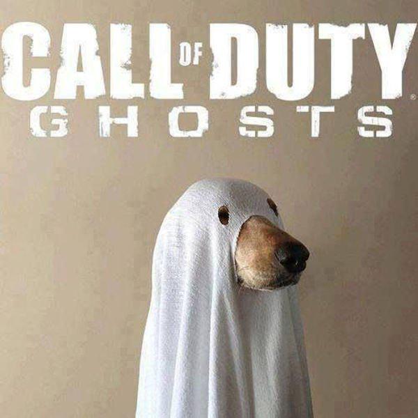 DBC414's tweet image. Call Of Duty " Ghost " 👻

A good 🔆 or a bad 💧 

Try it at your home : callofduty.com/ghosts/whereto…
