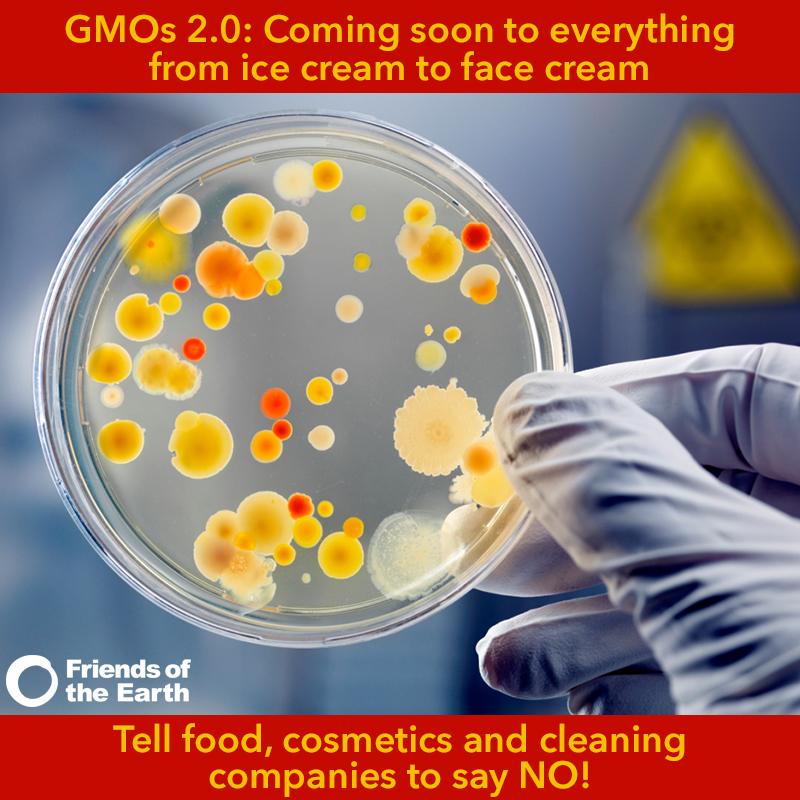 foe_us's tweet photo. Tell food and cosmetics companies-- say no to #GMOs 2.0! #nosynbio http://t.co/dUzC0qETm1 http://t.co/G3A4BlPb9r