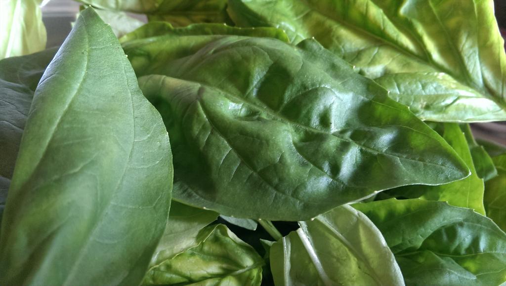 Eat...Simply tweet media