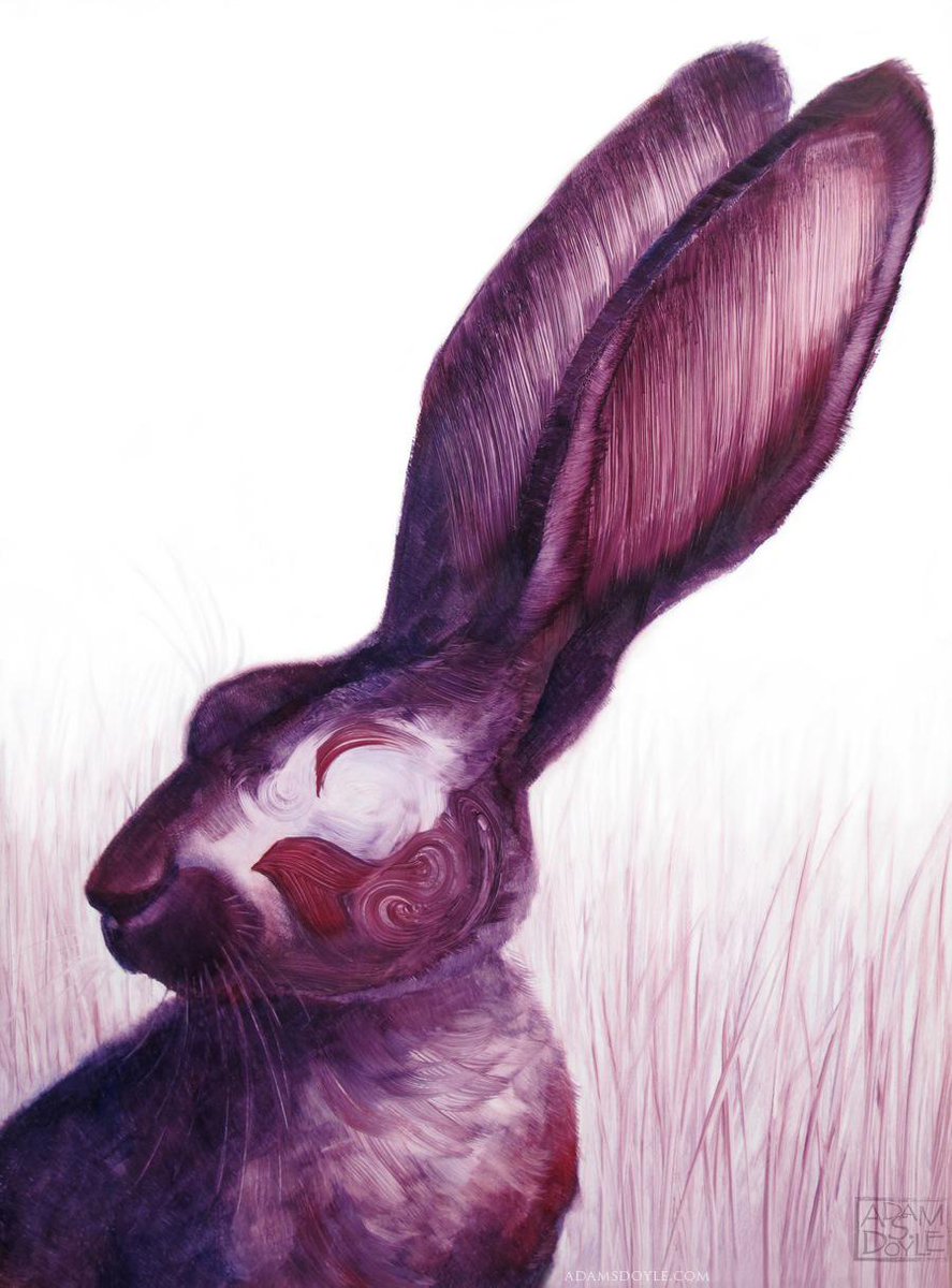 thisiscolossal's tweet photo. Artist Adam Doyle Utilizes Simplified Brushstrokes to Conjure Animals to the Canvas http://t.co/KbrmC8zcr3 http://t.co/3PQJGqLeib