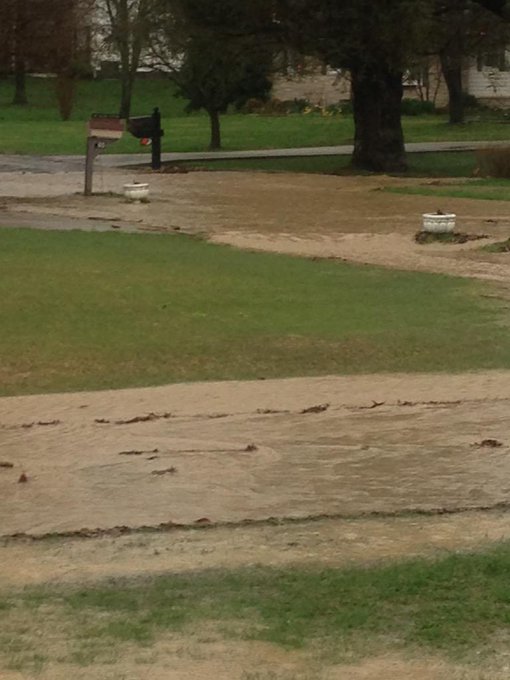 View image on Twitter