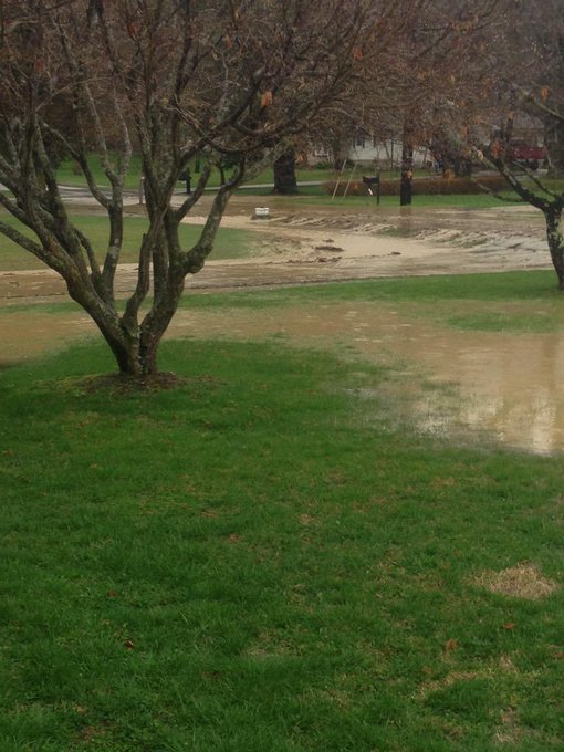 View image on Twitter