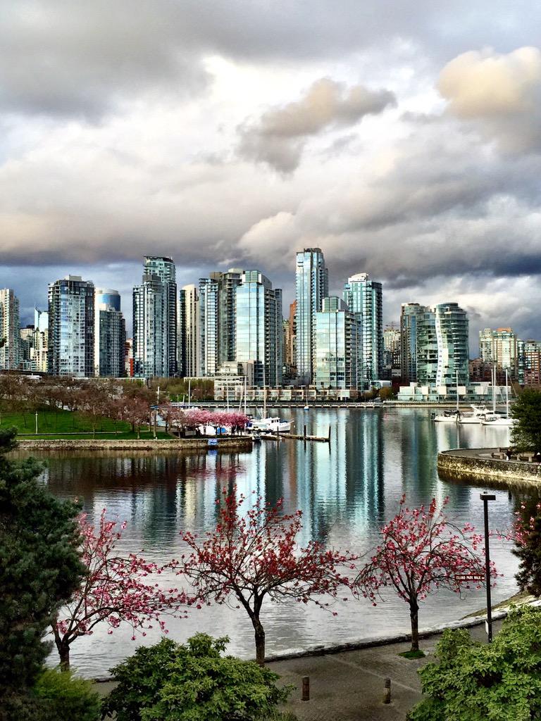 ExploreCanada's tweet photo. Beauty! RT @mikagryan: Cherry blossoms in the hood. @HelloBC @ExploreCanada @MyVancouver #vcbf2015 #allnipponairways http://t.co/XpJgN73CjC