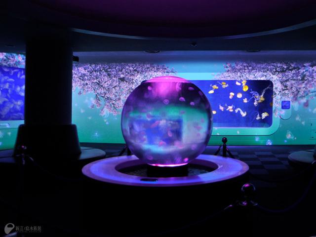 新江ノ島水族館 tweet media