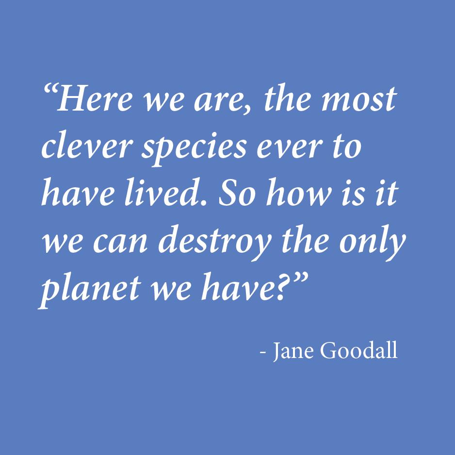 Happy Birthday, Jane Goodall! May you continue to inspire us all to be better stewards of our planet & its creatures. 