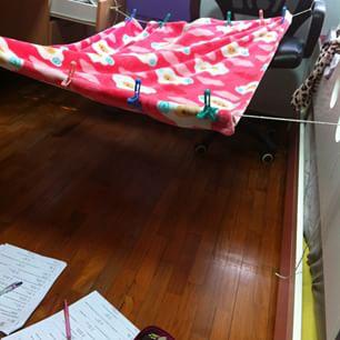 ClassicWisdoms's tweet image. What about some classic crazy blanket forts! #classicfun