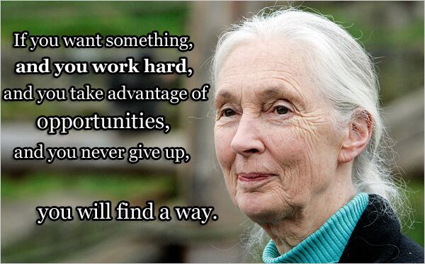 Happy 81st Birthday Jane Goodall! 