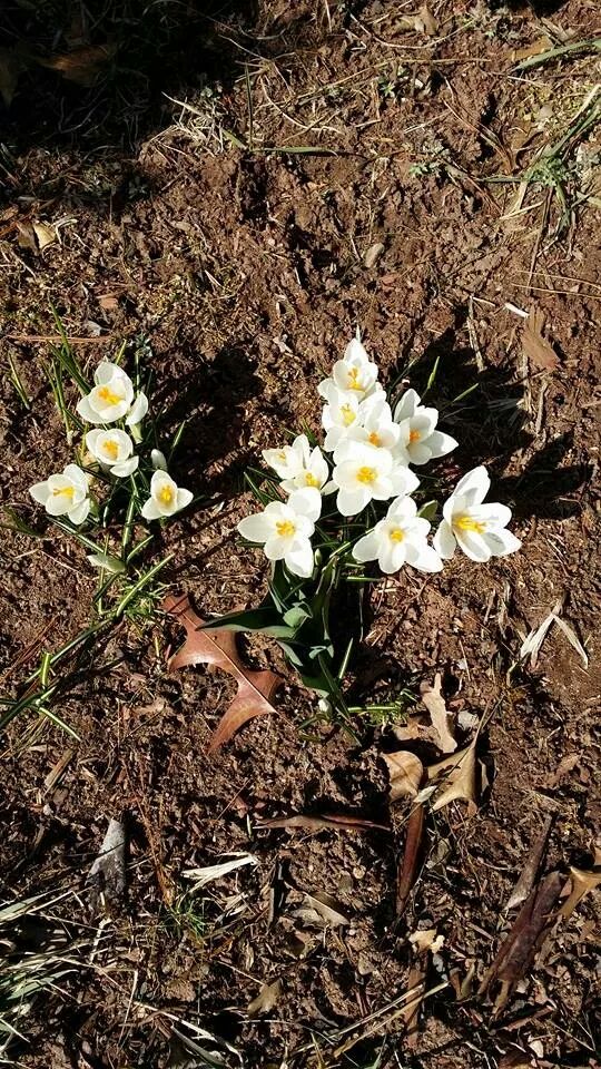 High Touch High Tech tweet media