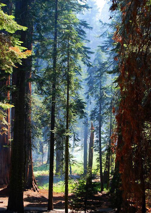 Expherience's tweet photo. I wanna explore http://t.co/D21izMRSJM