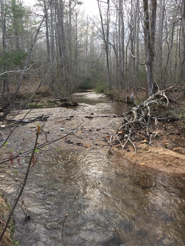 marinaJdial's tweet photo. Fishing Season! #dahlonega #nimblewill http://t.co/UdH6jlzwL1