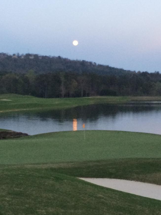 Bubba Hammock tweet media