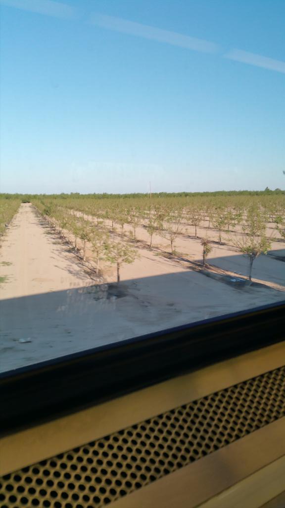 izzTommyL's tweet photo. On train through San Joaquin to Fremont, crops, crops everywhere! Nice to see some farm lands #tripbacknorcal http://t.co/j3lvCzMUOw