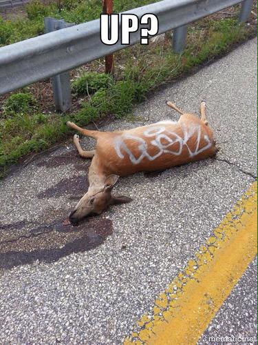 MemeSquatch's tweet image. 