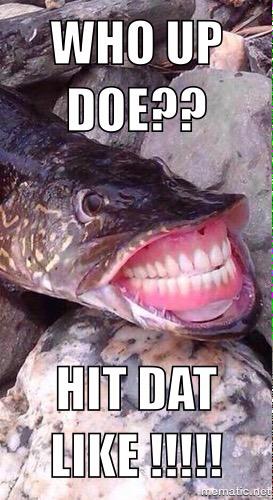 MemeSquatch's tweet image. 