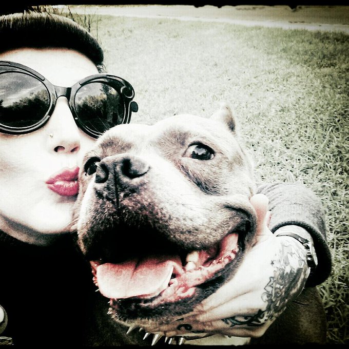 Puppy love! #freyjalovesjezebelle #bullymama http://t.co/POdBTClQqR<a href="/tag/freyjalovesjezebelle"class="tags">#freyjalovesjezebelle</a><a href="/tag/bullymama"class="tags">#bullymama</a>