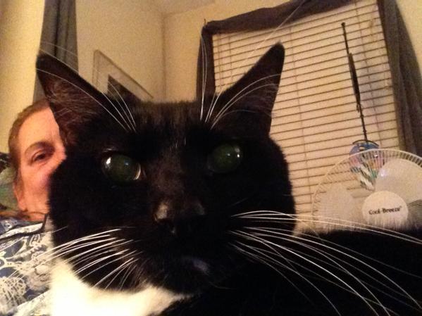 bbash15's tweet image. Tux time #whereissam