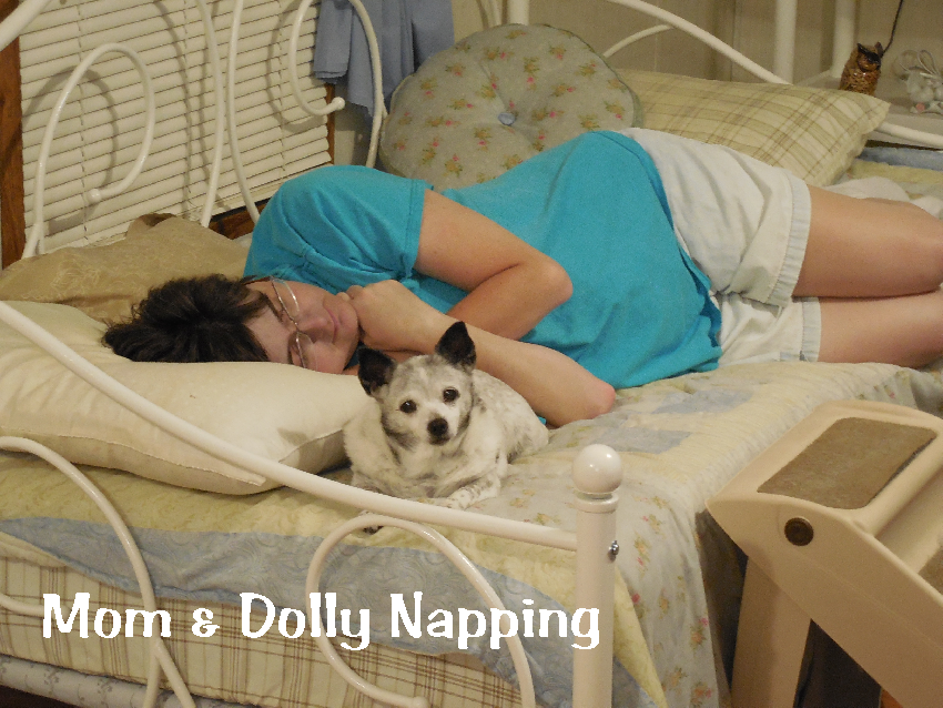 ChiChiNDolly's tweet photo. Me &amp; mom relaxing/napping  on daybed. Mom wuz out of it. Zombie hunting made us tired. #zombiesquad http://t.co/KUYz3fw8zC