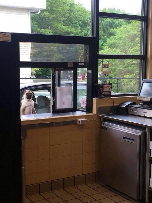 StumblerVideos's tweet photo. When your food taking too damn long http://t.co/tg9aJjSOMW