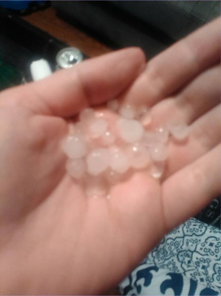 View image on Twitter