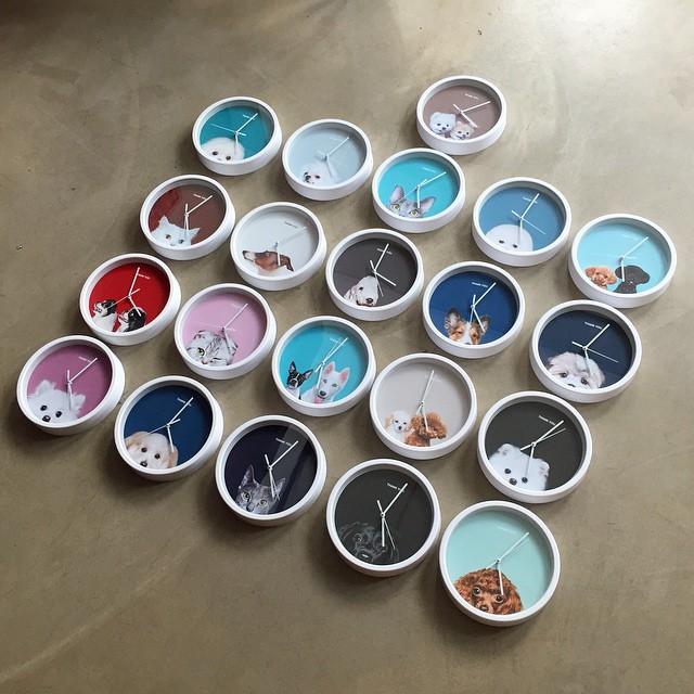 T_ARAPETS's tweet photo. Thank You Studio custom clocks featuring #Bapul #Monggeul #Youngmini & #Mini 🐶⏰😄
#t_dogs @thankyoustudio1 http://t.co/CnhybfYW4i