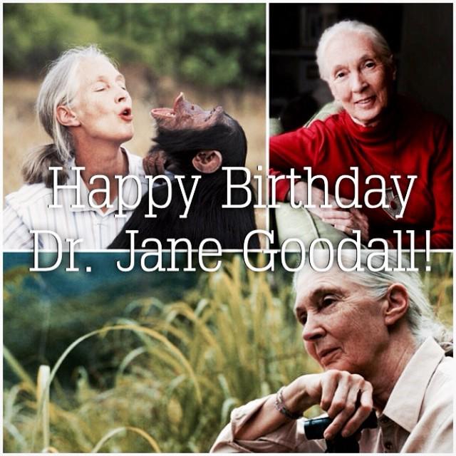 Join us in wishing a very happy birthday to the one and only Dr. Jane Goodall! Her years o 