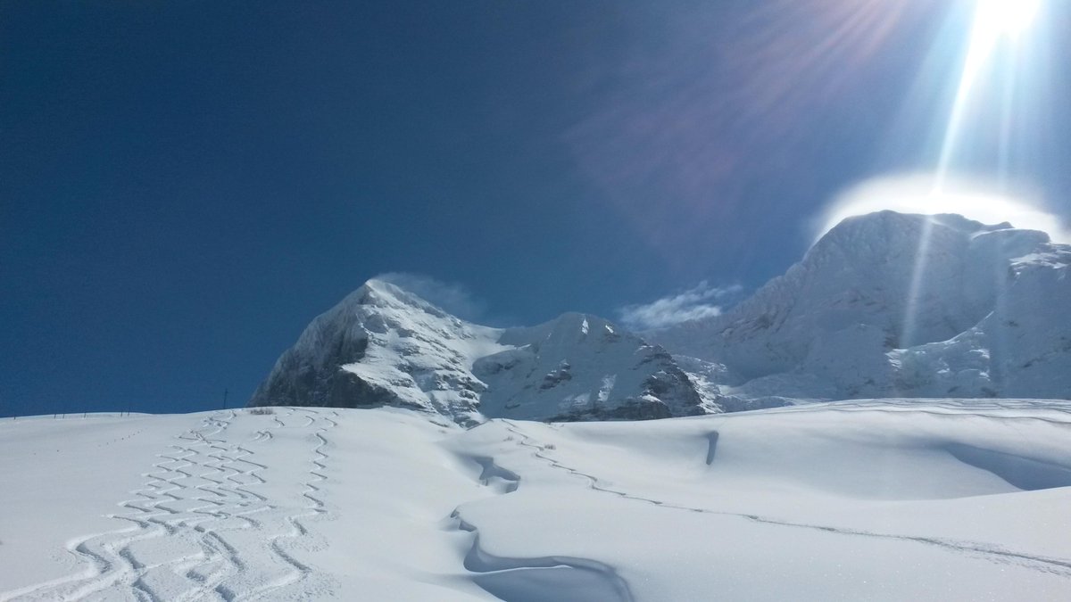 StarToursUK's tweet photo. “@JungfrauRegion: Perfektes /Perfect skiing conditions in der/the #Jungfrauregion/Happy #Easter! http://t.co/qGXtpO7VuC” #swissspecialtour