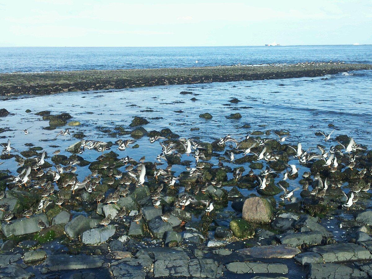 Voor het squashen eerst frisse neus halen &amp; inspiratie opdoen op 100 mtr vd squashbaan #zen #beatrixhotel #huisduinen
