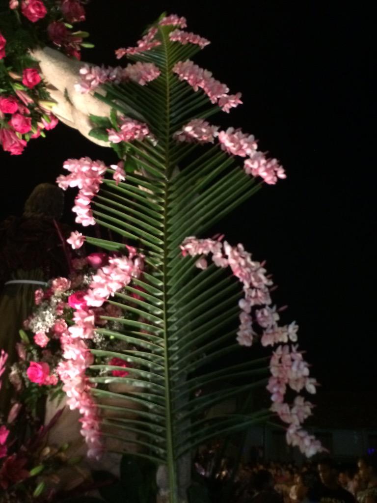 Tradición de Semana Santa en #Panama adornar los pasos con palmeras  coronadas con flor de caracucha. @JCTapiaLMB, image size:768x1024
