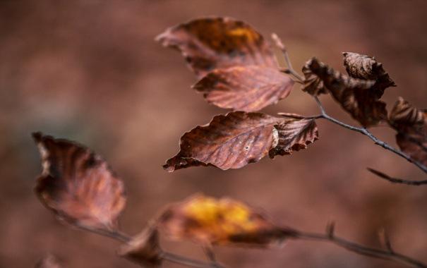 Nožēlot grēkus nekad nav par vēlu, bet sagrēkot gan var nokavēt #grēki #laiks