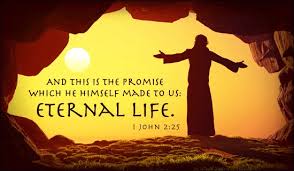 EmeraldCahill's tweet photo. HAPPY EASTER TO ALL @shivanjali_ @jnrcobra97 @ShirtiK @Nehak_x @jagadis51353799 @KahzalRules @sunilsharmajnr http://t.co/hHO3S6FVhE