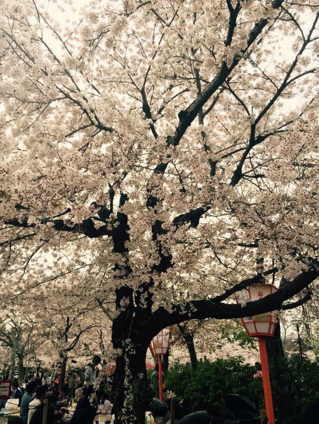 京都よきかなよきかな(*^^*)