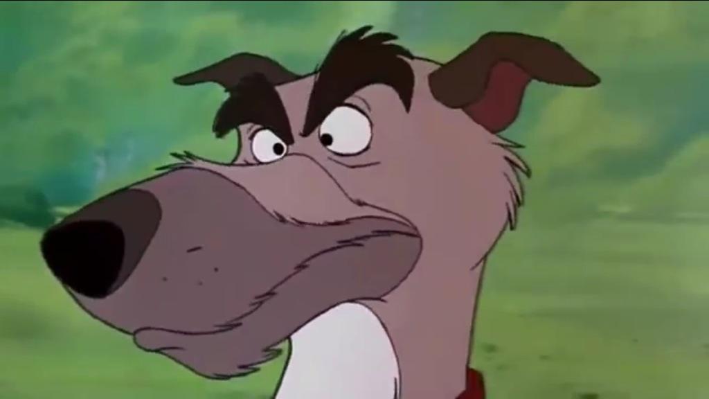 GrumpyGrey_Dog's tweet image. Hey everyone.