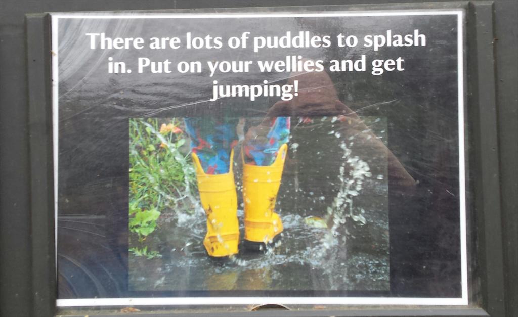 MANDYCLARK58's tweet image. “@steveclarkuk: A good motto for life itself from the @nationaltrust :-) http://t.co/Etjh7ioLbC” So true. Love #puddlesplashing