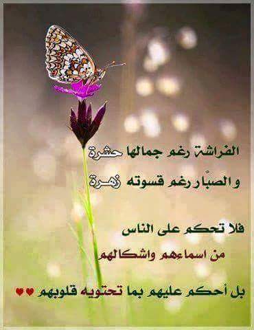 hhgg201498's tweet photo. http://t.co/QFh7FhZPLD