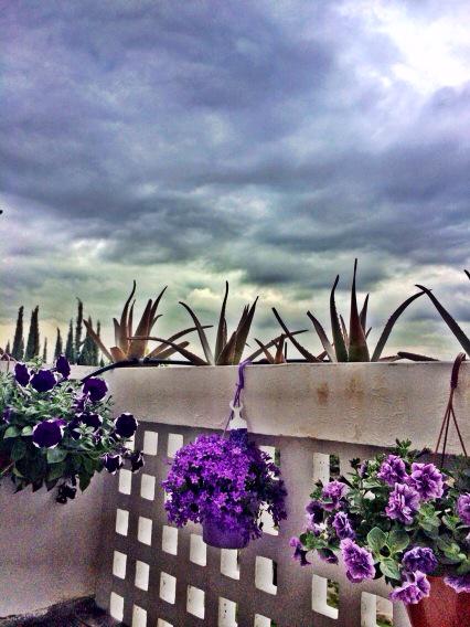 Giornata strana http://t.co/MYurpim3a4<a href="/tag/vibratorematildaferragni"class="tags"><span>#vibratorematildaferragni</span></a>