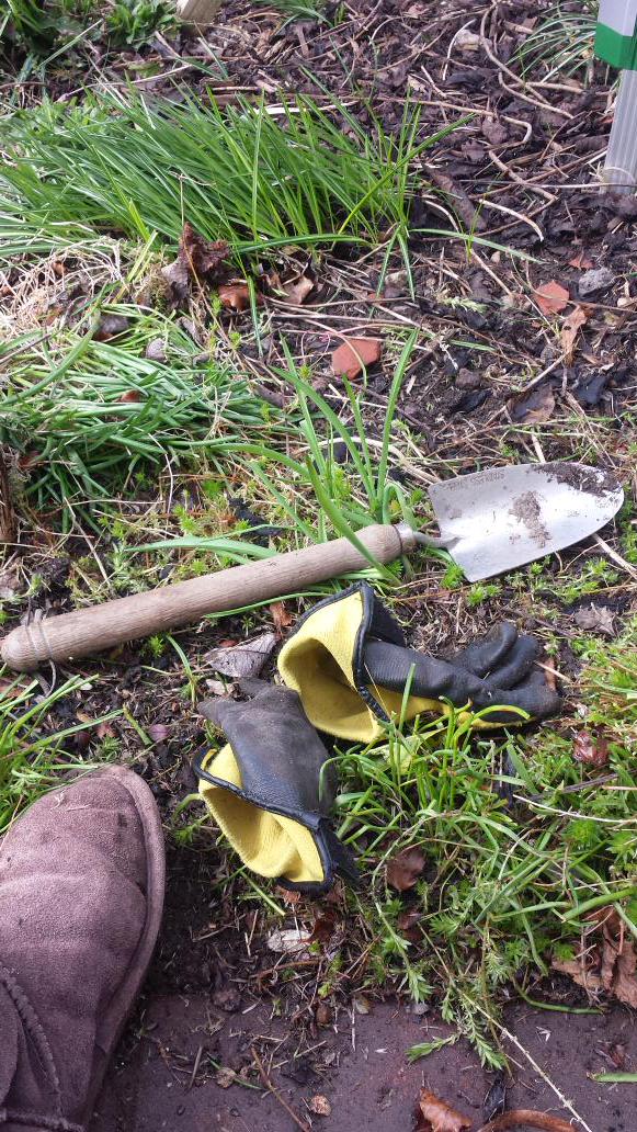 sianrobinson101's tweet photo. Getting on with my garden. #Sunshine 
#weeding #Spliting @justin_gardener http://t.co/Sv5f9lKHrW