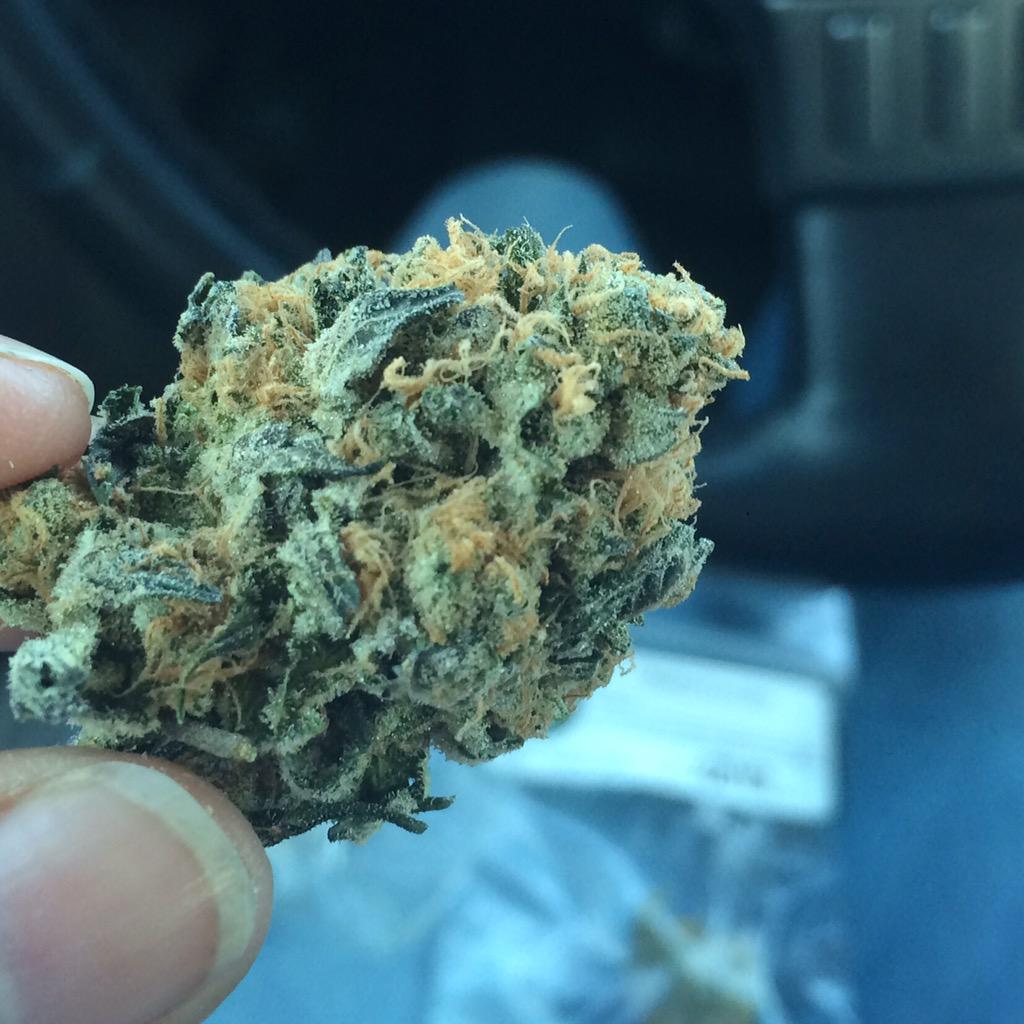 SemiraSteezy's tweet photo. Very grateful for dispensaries #prop215 #sb420 #medicatesafely βοΈ http://t.co/c6daO4foDh
